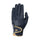#colour_navy-gold